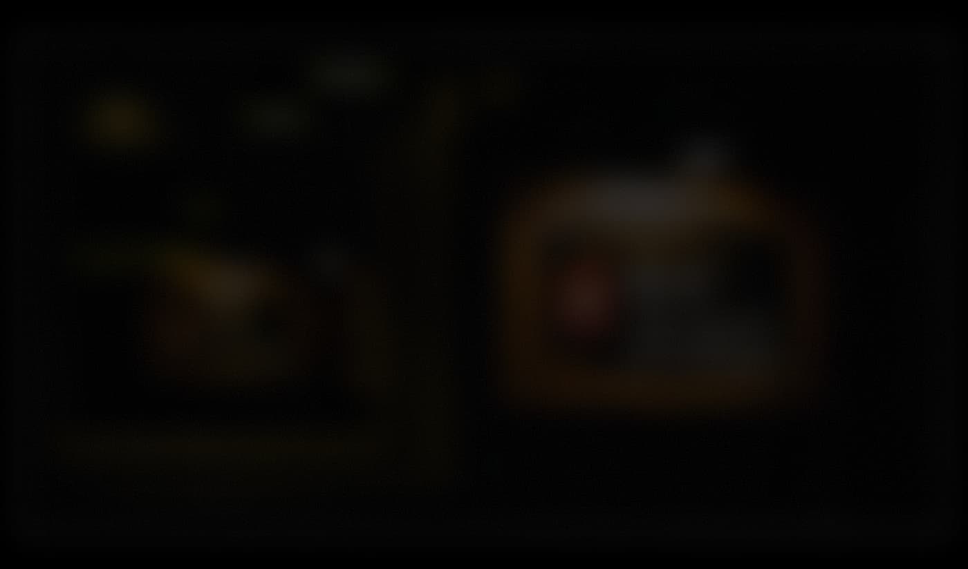 Aleef Biriyani Background