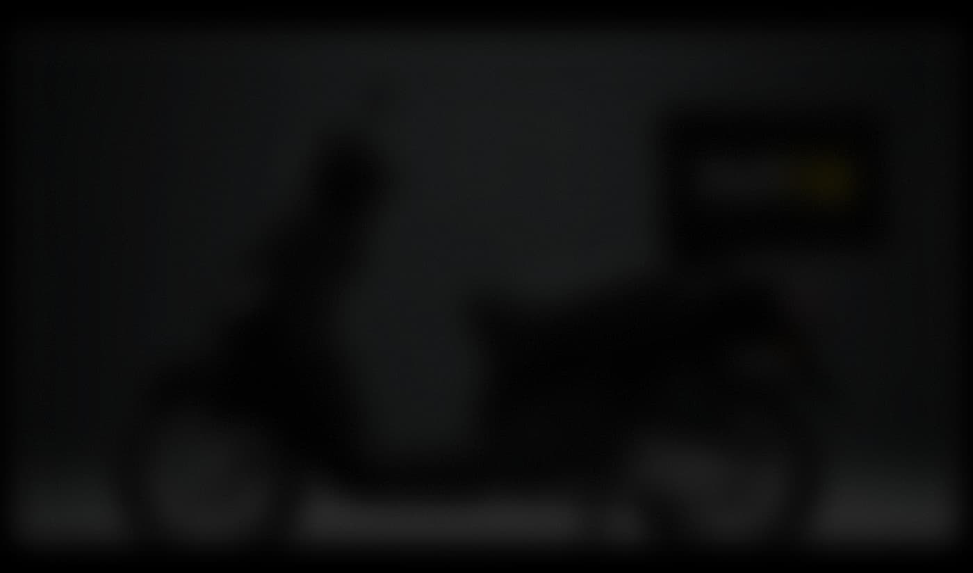 Deligo Background